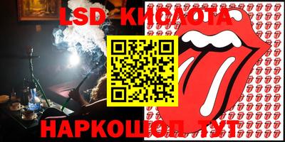 шишки Донской