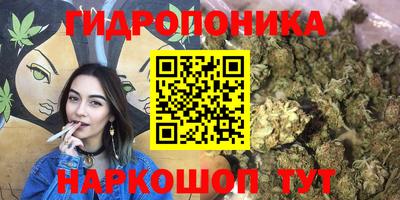 mdpv Дубна