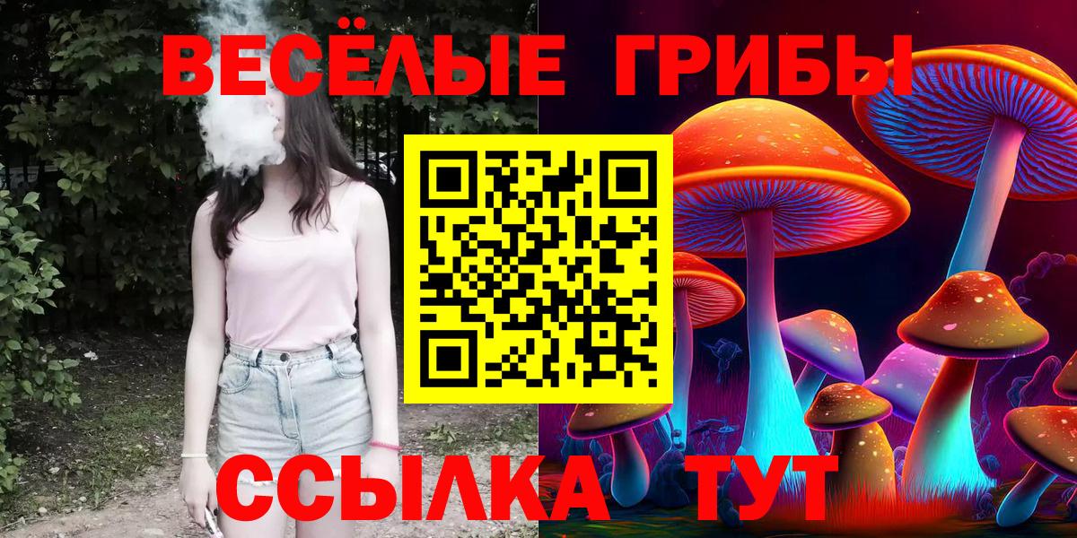 Псилоцибиновые грибы MAGIC MUSHROOMS Малгобек
