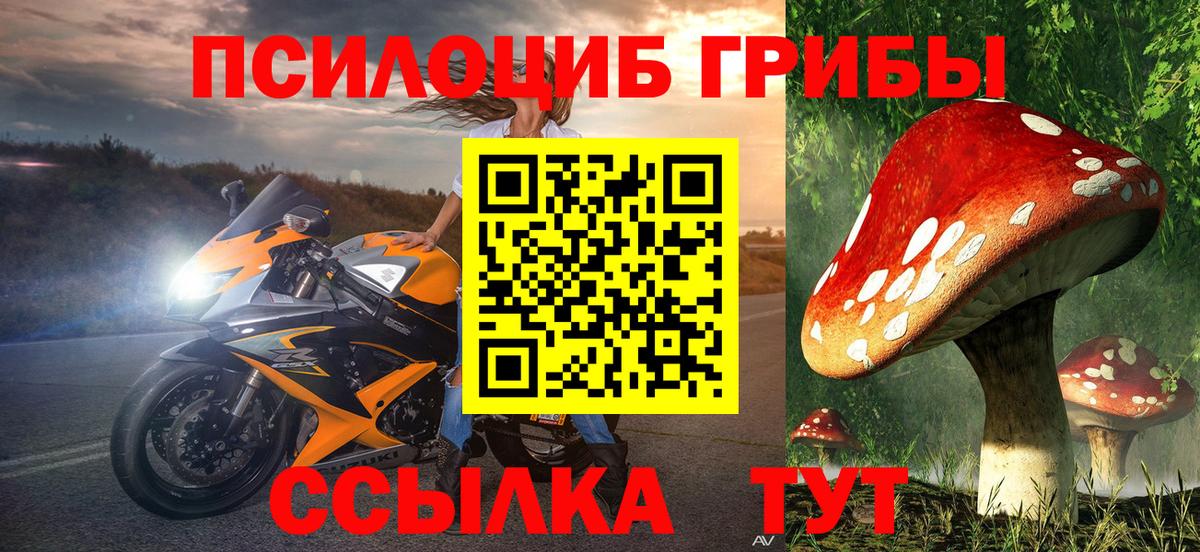 Псилоцибиновые грибы прущие грибы  Вход с VPN  Малгобек 